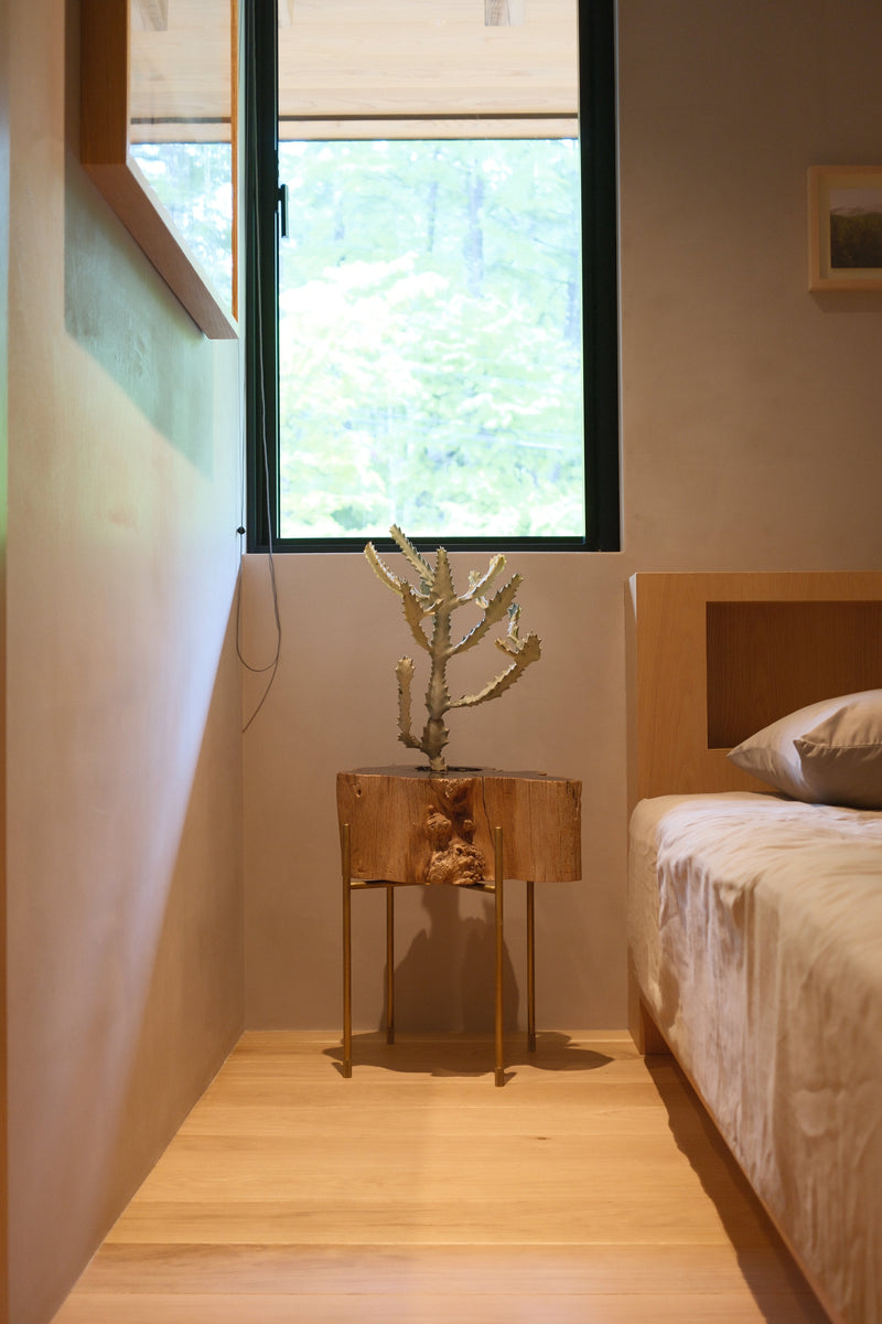 Pot & stand_ African Ebony