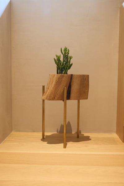 Pot & stand_ African Ebony