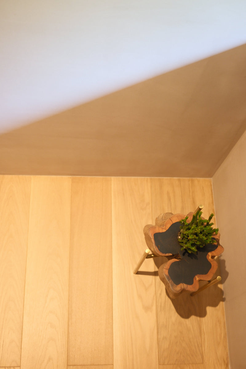 Pot & stand_ African Ebony