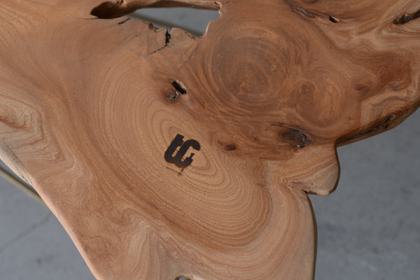 Zelkova