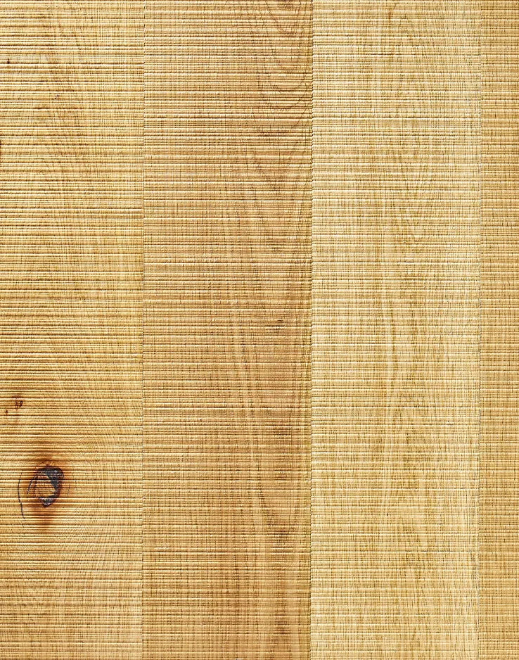 N° VE-EB-おびのこ