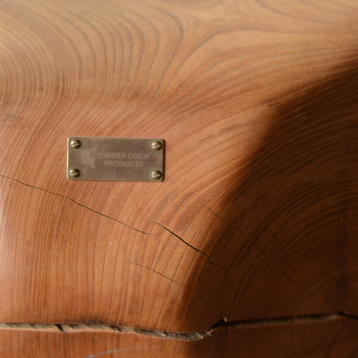 Zelkova