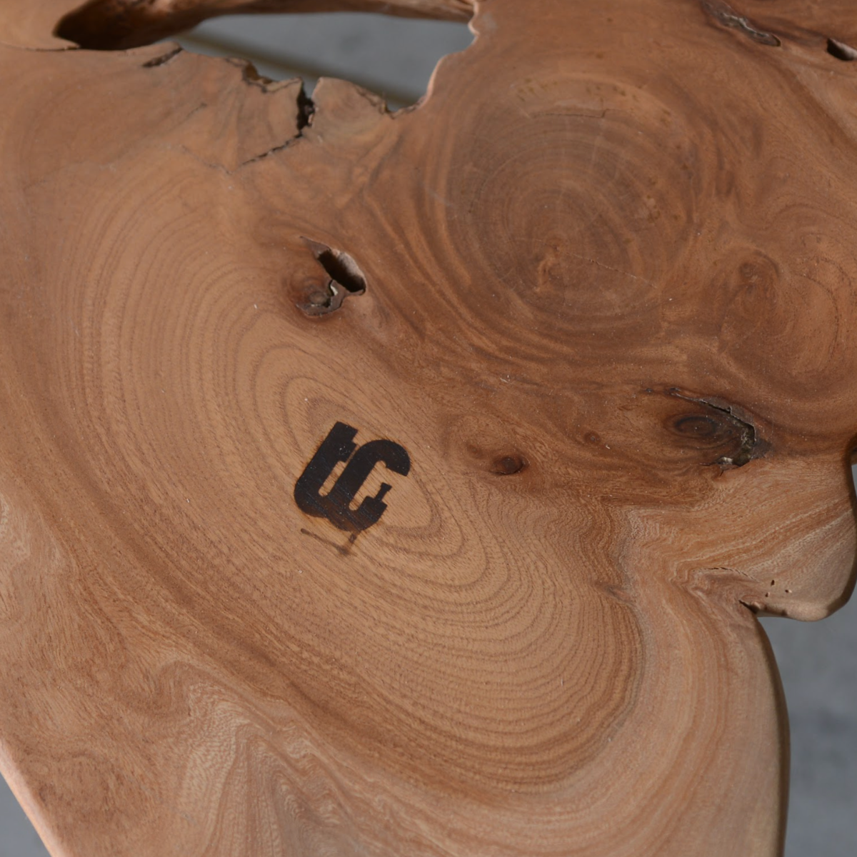 Zelkova