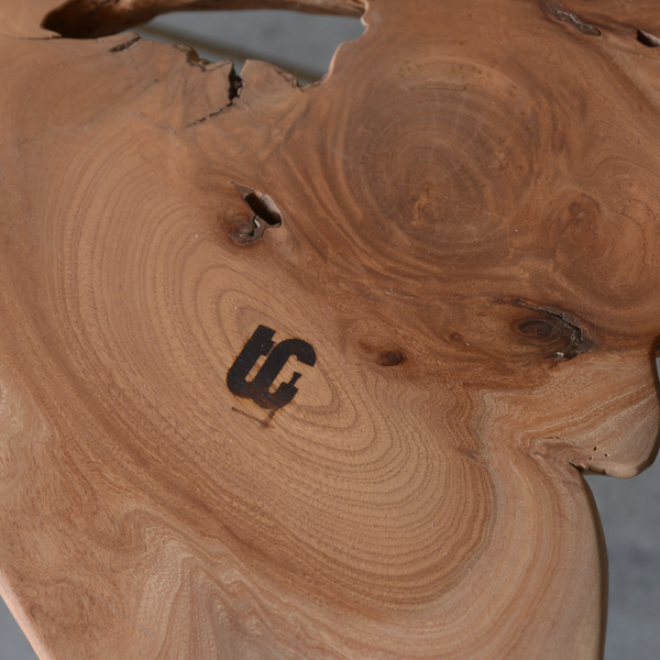 Zelkova