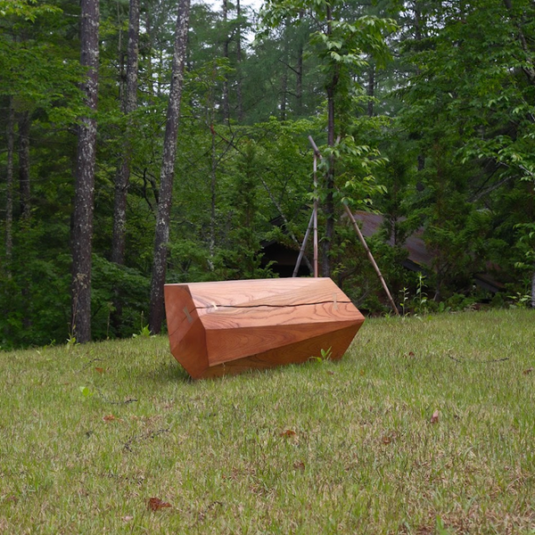 Zelkova