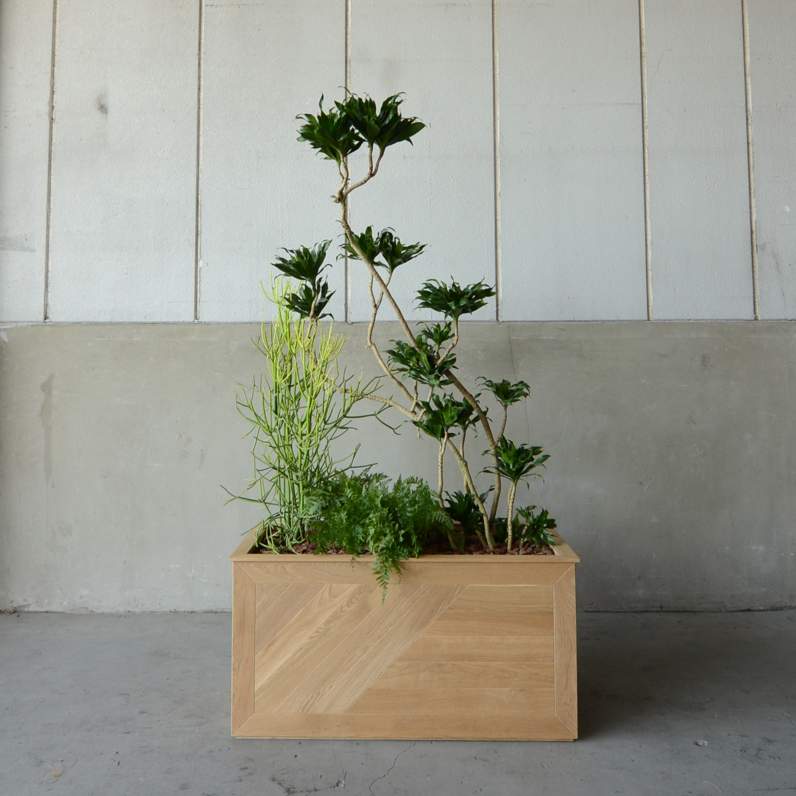 Oak Planter_PQ04