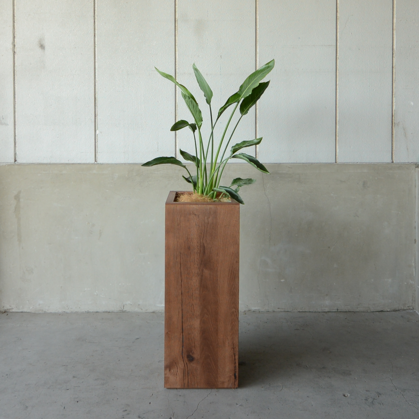 Oak Planter_VB03_BR